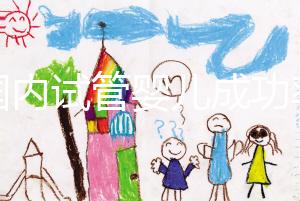 “國內試管嬰兒成功率不比國外差” 對話輔助生殖專家：胚胎培養是概率提升關鍵