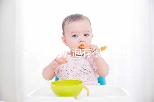 熟地黃對卵泡有很大的作用和作用能否改善性功能？