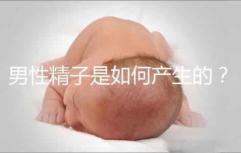 男性精子是如何產生的？