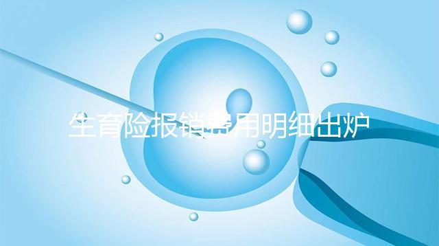 生育險(xiǎn)報(bào)銷(xiāo)費(fèi)用明細(xì)出爐,工資和繳費(fèi)年限是重要影響因素