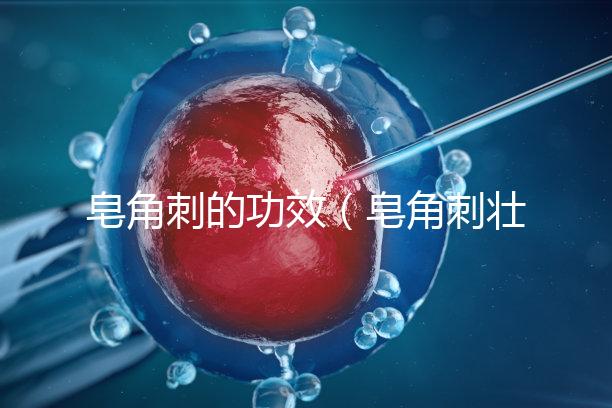 皂角刺的功效（皂角刺壯陽多強(qiáng)）