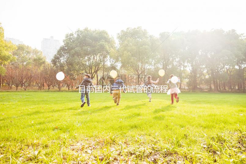 目前國(guó)內(nèi)三代試管的流程是怎樣？