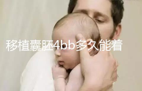 移植囊胚4bb多久能著床 4bb囊胚移植成功率高嗎