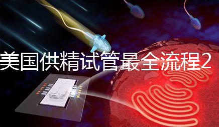 美國供精試管最全流程2024，時間長短關(guān)鍵看身體情況