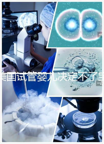 美國試管嬰兒決定不了寶寶身高、智商，但這些可以...