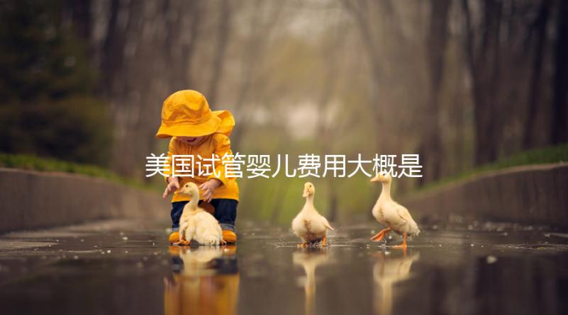 美國試管嬰兒費用大概是多少,試管嬰兒可以選擇男女性別嗎