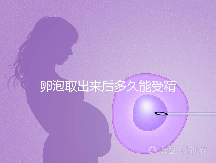 卵泡取出來后多久能受精做試管來瞧，想移植請算好時(shí)間