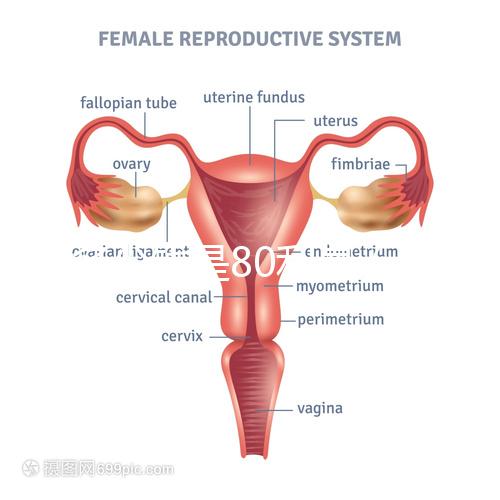 借多少錢是80利息(借多少錢是80利息的)