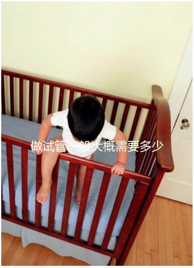 做試管一般大概需要多少錢(qián)