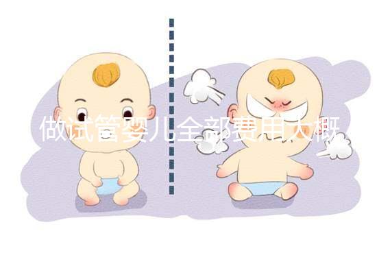 做試管嬰兒全部費(fèi)用大概是多少(做試管嬰兒全部費(fèi)用大概是多少錢)