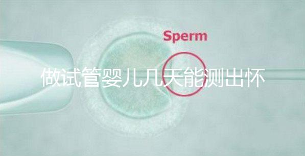 做試管嬰兒幾天能測出懷孕，3招教你提高試管成功率