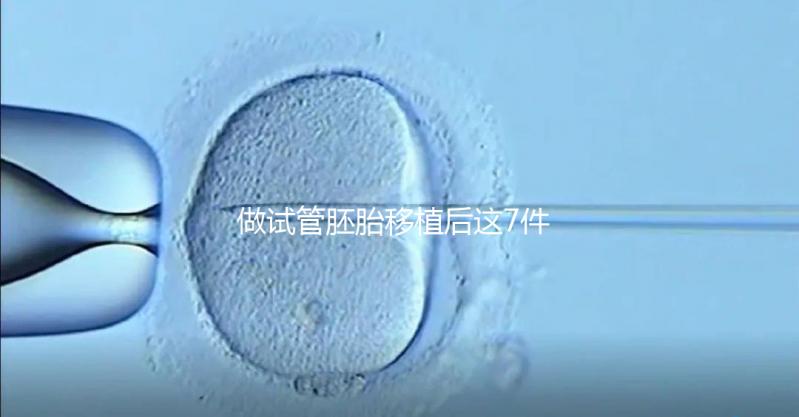 做試管胚胎移植后這7件事做錯(cuò),小心胚胎流掉!