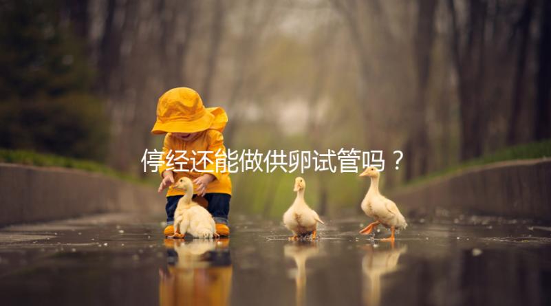 停經(jīng)還能做供卵試管嗎?達到這4個條件成功率翻一番