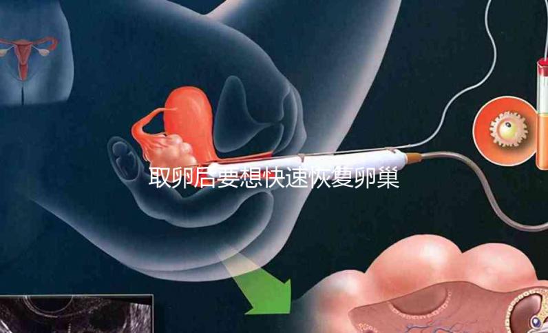 取卵后要想快速恢復(fù)卵巢，這8個(gè)方法絕對(duì)有效！