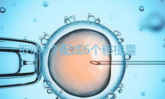 取卵9個配成6個移植囊胚成功率不高?專家:做三代試管夠了