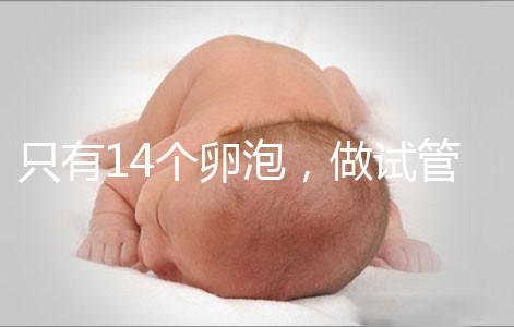 只有14個卵泡，做試管嬰兒到底要不要養囊？