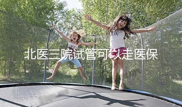 北醫(yī)三院試管可以走醫(yī)保嗎
