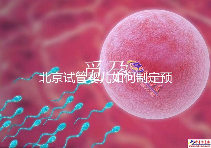 北京試管嬰兒如何制定預(yù)算,費(fèi)用解析必看