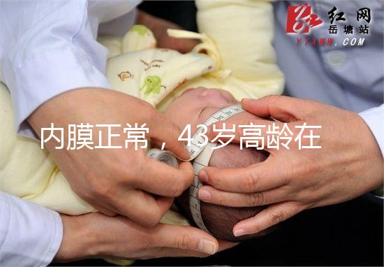內膜正常，43歲高齡在國內做試管嬰兒成功率多少？