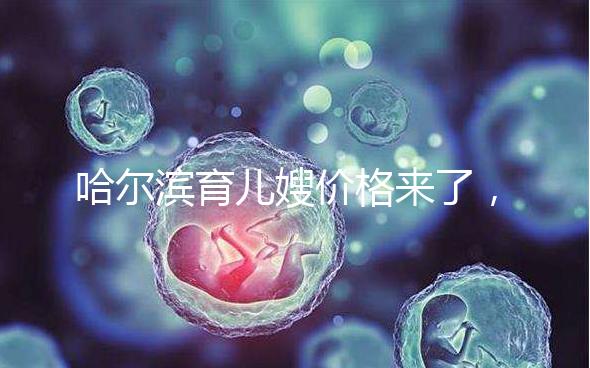 哈爾濱育兒嫂價(jià)格來了，公司排行榜top1多少錢看完了解