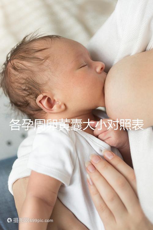 各孕周卵黃囊大小對照表，偏大、偏小都不正常