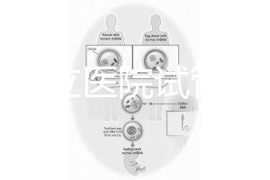 國內公立醫院試管嬰兒費用概覽：一般要花多少錢？