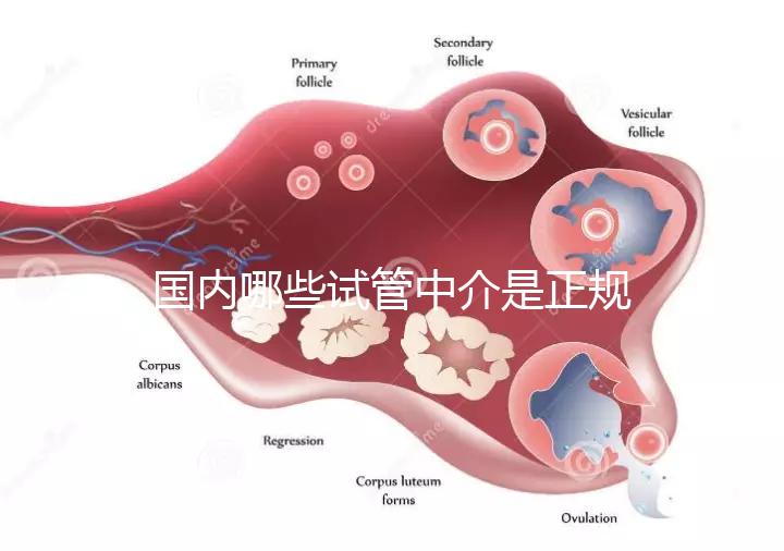 國內哪些試管中介是正規的看過來，可不止北京百匯這一家