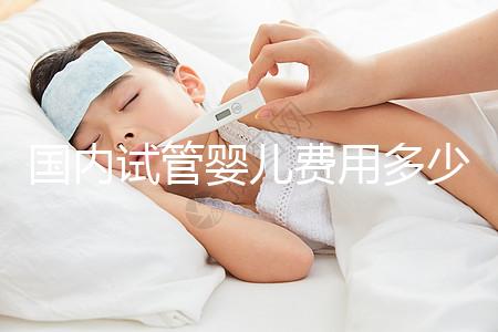 國內(nèi)試管嬰兒費用多少