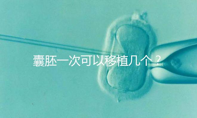 囊胚一次可以移植幾個？