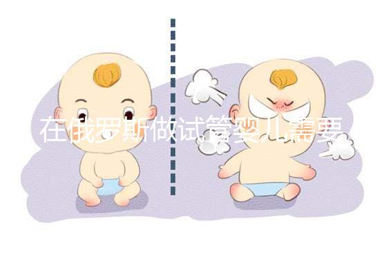 在俄羅斯做試管嬰兒需要什么條件？這四個條件缺一不可