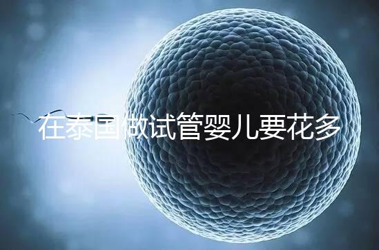 在泰國(guó)做試管嬰兒要花多少錢?一位助孕顧問的深夜坦白