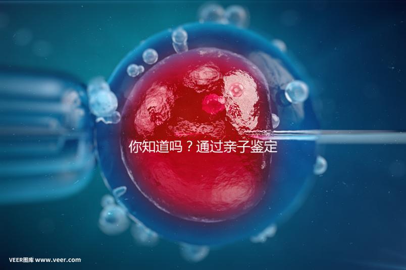 你知道嗎？通過親子鑒定補辦出生證也能給寶寶上戶口