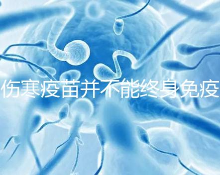 傷寒疫苗并不能終身免疫，有效期過后仍是易感染人群