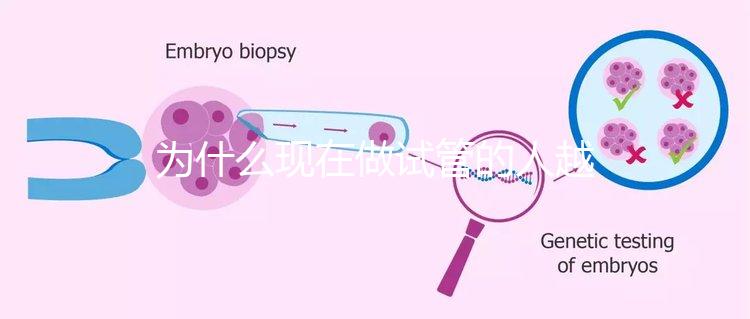 為什么現在做試管的人越來越多？解析背后的原因與趨勢！