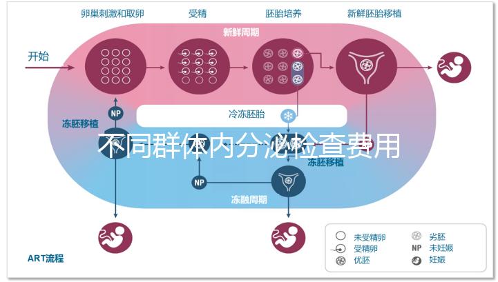 不同群體內(nèi)分泌檢查費用有差別，但醫(yī)保報銷問題不大