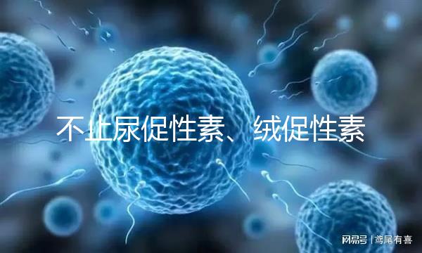 不止尿促性素、絨促性素!試管嬰兒促排卵針還有這些牌子