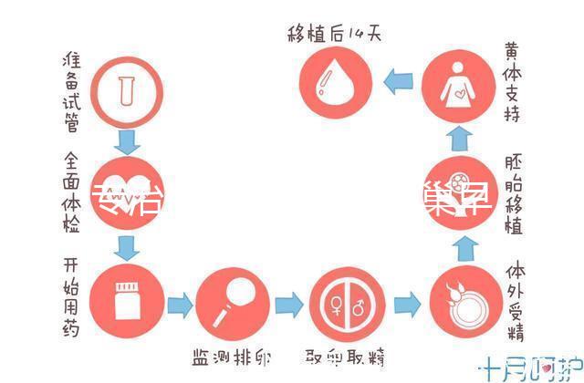 專治停經、絕經、卵巢早衰？利維愛的作用與適應癥分析