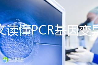 一文讀懂PCR基因變異報告，解讀高通量測序染色體檢查