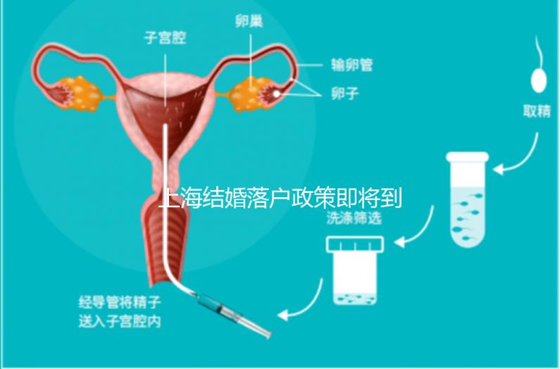 上海結(jié)婚落戶政策即將到來(lái),包括2024年黃浦區(qū)詳細(xì)的戶籍流程