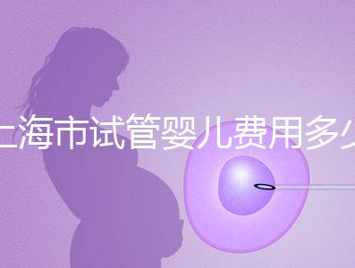 上海市試管嬰兒費用多少錢？2025年最新價格明細及影響因素