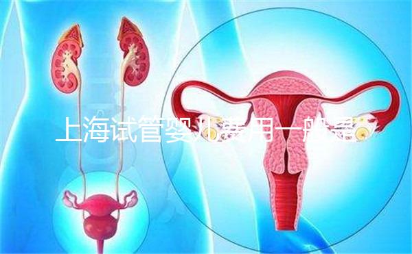 上海試管嬰兒費用一般是多少？2025年費用明細(xì)全解析、各技術(shù)方案價格對比與科學(xué)省錢全指南