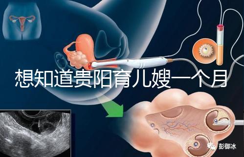 想知道貴陽育兒嫂一個月戳多少錢，云巖2萬夠不夠