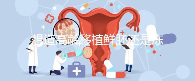 想造高齡移植鮮胚還是凍胚好請進(jìn)，關(guān)鍵看身體適不適合