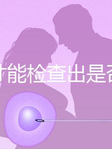 怎樣才能檢查出是否懷孕？