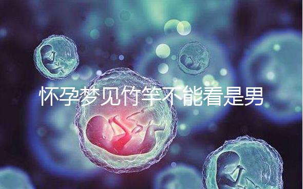 懷孕夢見竹竿不能看是男孩or女孩，解讀胎夢預兆別太主觀