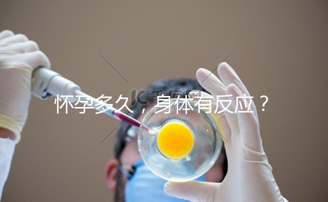 懷孕多久，身體有反應(yīng)？