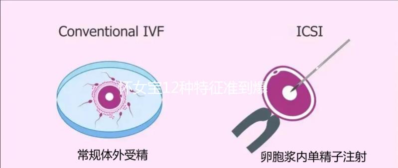 懷女寶12種特征準(zhǔn)到爆，尿液顏色、孕反...看你對(duì)上幾條