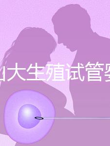 提升山大生殖試管嬰兒成功率，“老司機”送你這4招！