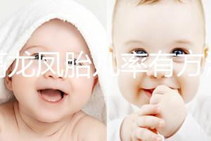 提高龍鳳胎幾率有方法,掌握同房秘訣是關(guān)鍵