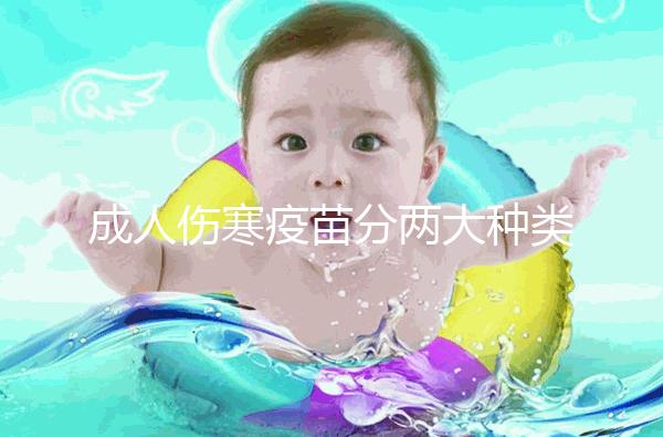 成人傷寒疫苗分兩大種類，選擇使用口服還是注射都不錯